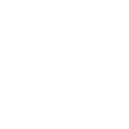 Icon VR - white