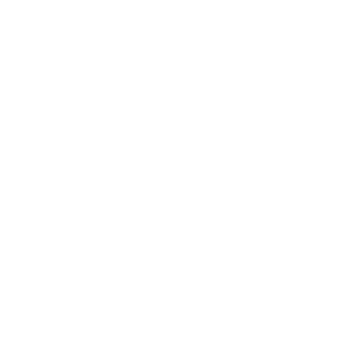 Icon Fotografie weiß