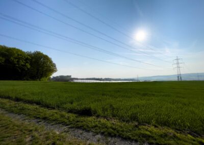 PV-Solarpark-3D-Visualisierung - Blick auf das Feld (nach Fotomontage)