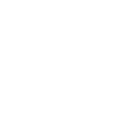 Icon_Leistungen